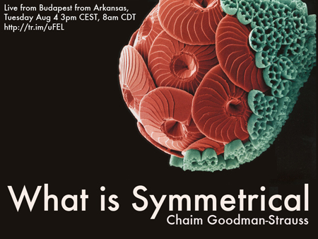 WhatIsSymmetricPostersm WhatIsSymmetricPostersm